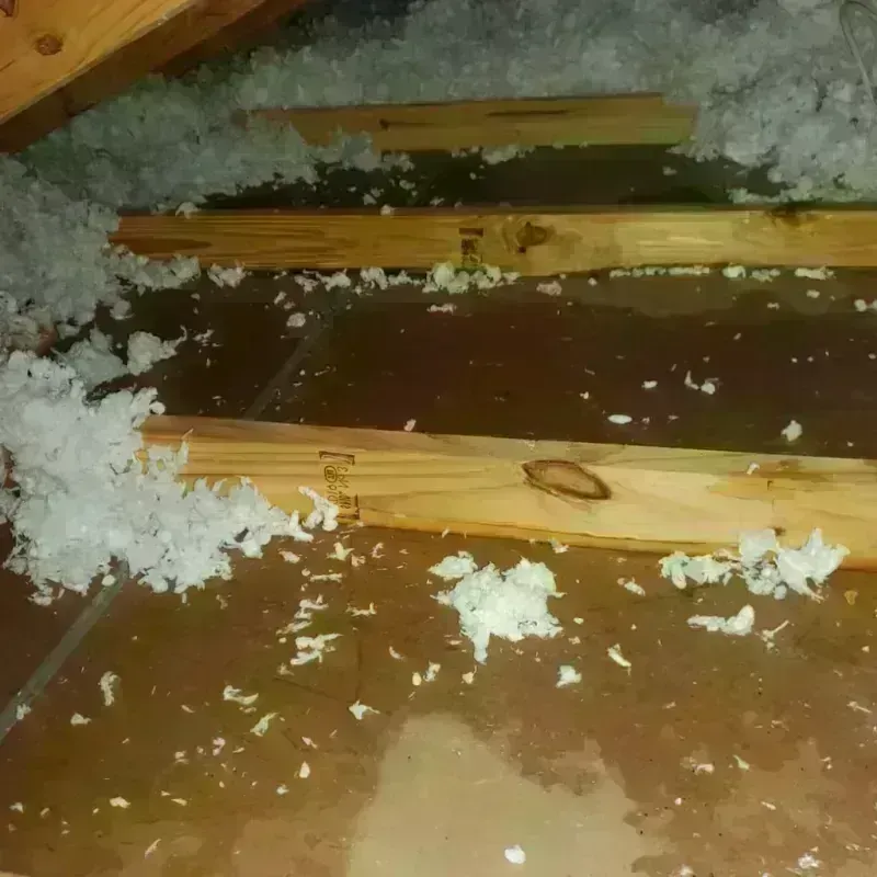 Attic Water Damage in Winnebago, IL