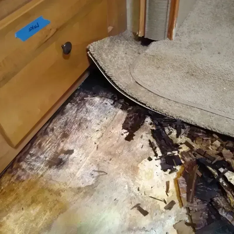 Wood Floor Water Damage in Winnebago, IL